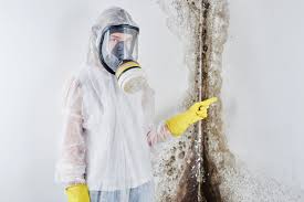 Best Biohazard Mold Removal  in West Jordan, UT